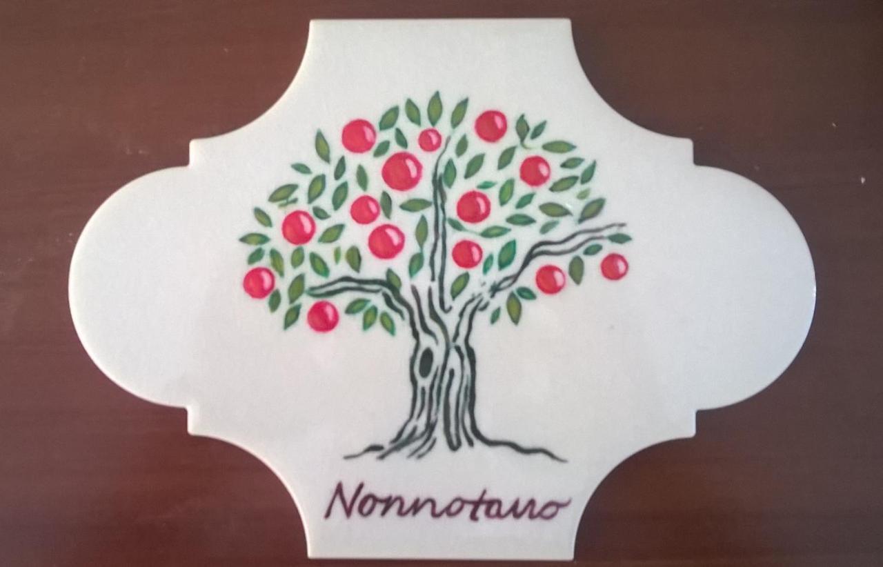 B&B Nonnotano โนเชราเตริเนเซ ภายนอก รูปภาพ